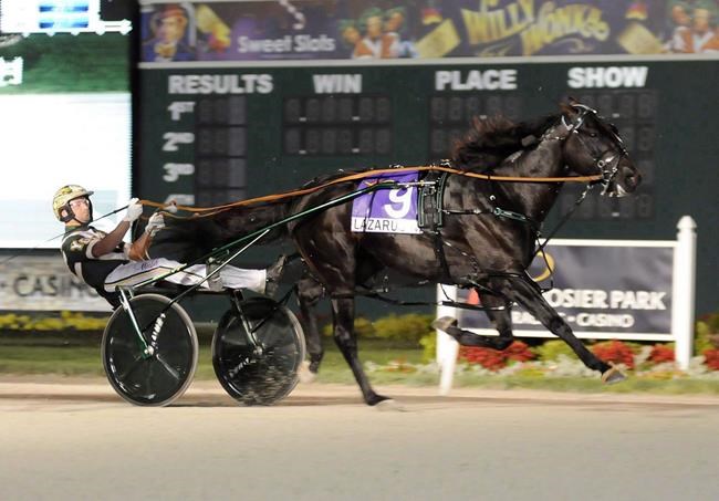 Canadian Gingras driving horses in Pacing Derby, Maple Leaf Trot events | iNFOnews.ca Canadian Gingras driving horses in Pacing Derby, Maple Leaf Trot events | iNFOnews.ca