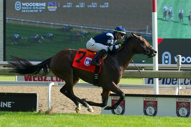 Oscar Performance goes wire-to-wire in winning $800,000 Ricoh Woodbine Mile | iNFOnews.ca Oscar Performance goes wire-to-wire in winning $800,000 Ricoh Woodbine Mile | iNFOnews.ca