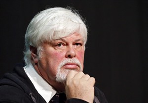 Canadian whale activist Paul Watson on the run, vows to continue work | iNFOnews.ca CP19592536