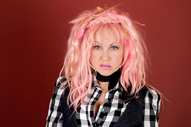 Singer Cyndi Lauper speaks out against Montreal pit bull ban | iNFOnews.ca