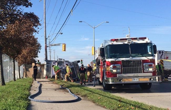 Driver of truck that crashed while carrying pigs to slaughterhouse facing charges | iNFOnews.ca