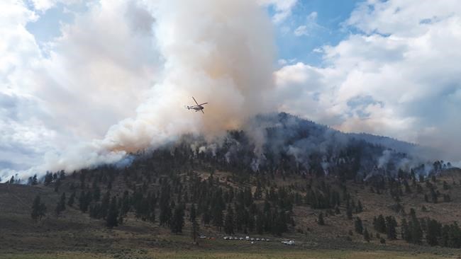 Planned back burns help contain aggressive wildfire near Osoyoos, B.C. | iNFOnews.ca Planned back burns help contain aggressive wildfire near Osoyoos, B.C. | iNFOnews.ca