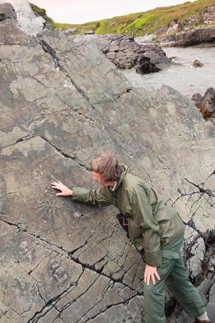 Newfoundland fossil trove wins bid to become UNESCO World Heritage Site | iNFOnews.ca Newfoundland fossil trove wins bid to become UNESCO World Heritage Site | iNFOnews.ca