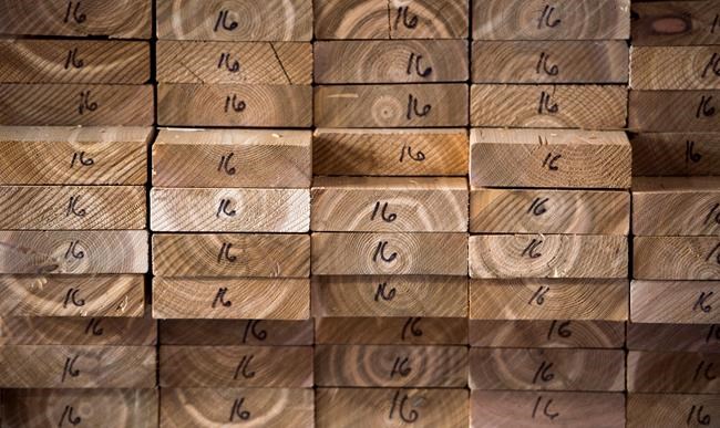 Freeland sees outline of softwood deal but can't predict when it'll be settled | iNFOnews.ca CP288040033
