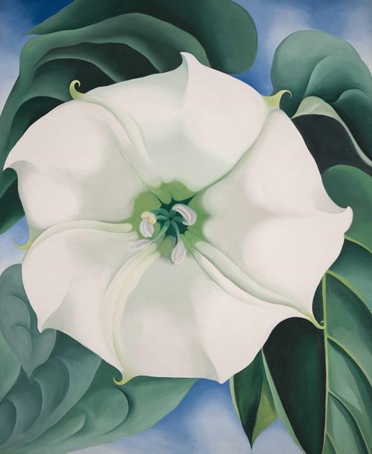 Landmark O'Keeffe exhibition in Toronto, 85 years after artist visited Canada | iNFOnews.ca