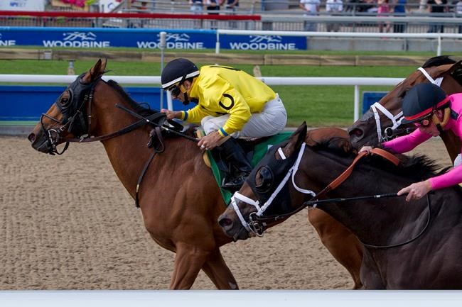 Filly Holy Helena makes compelling case to run in $1-million Queen's Plate | iNFOnews.ca Filly Holy Helena makes compelling case to run in $1-million Queen's Plate | iNFOnews.ca