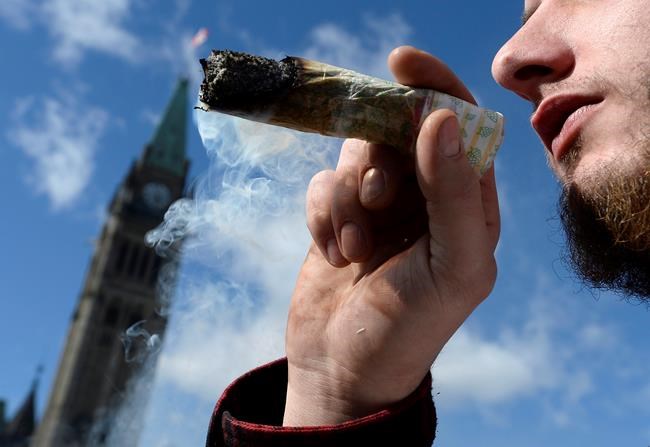 Government rejects 13 Senate changes to pot bill, including ban on home growing | iNFOnews.ca
