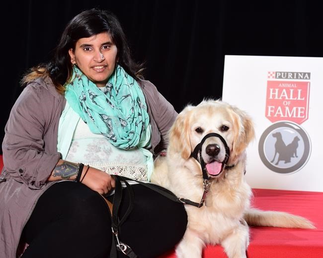 Animal hall of fame pooches save owners from fire, bear, heart attack | iNFOnews.ca