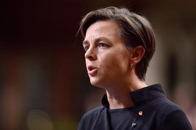 Tory leadership hopeful Leitch wants pepper spray legal for self-defence | iNFOnews.ca