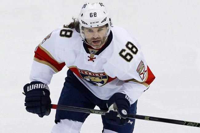 Report of Jagr joining Flames has young Calgary players buzzing | iNFOnews.ca CP650501739