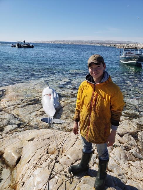 Beluga backlash: Inuk father faces critics after sharing photo of whale harvest | iNFOnews.ca Beluga backlash: Inuk father faces critics after sharing photo of whale harvest | iNFOnews.ca