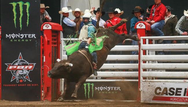New Canadian bull-riding tour showcases 'the toughest sport on dirt' | iNFOnews.ca New Canadian bull-riding tour showcases 'the toughest sport on dirt' | iNFOnews.ca