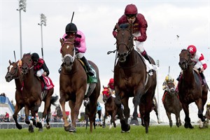 Trade Storm comes on in deep stretch to capture Woodbine Mile race | iNFOnews.ca CP29892662