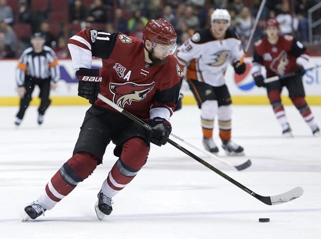 Wild acquire centre Martin Hanzal in trade with Coyotes | iNFOnews.ca