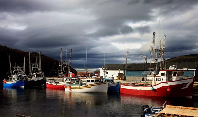 A family affair: 10 council candidates in Newfoundland town have same last name | iNFOnews.ca A family affair: 10 council candidates in Newfoundland town have same last name | iNFOnews.ca