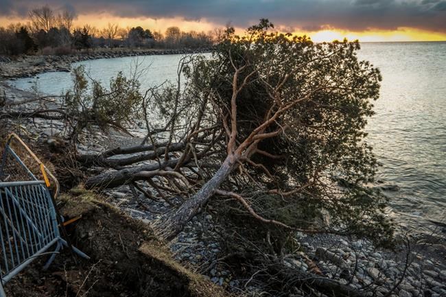 Power outages, major collision in southern Ontario due to windstorm | iNFOnews.ca