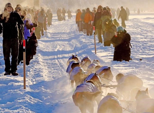 Gruelling 1,600 km Yukon Quest dog sled race starts in Whitehorse Saturday | iNFOnews.ca CP2030937425