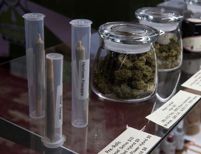Owners of Toronto's illegal pot shops not reporting violent robberies: Police | iNFOnews.ca
