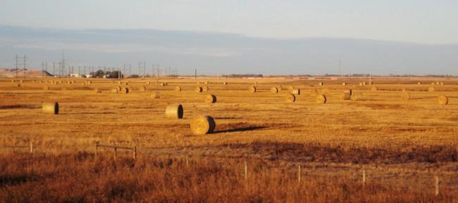 Whittled away: Saskatchewan First Nation sues over land given over to farming | iNFOnews.ca CP1180310219