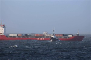 CP30342537