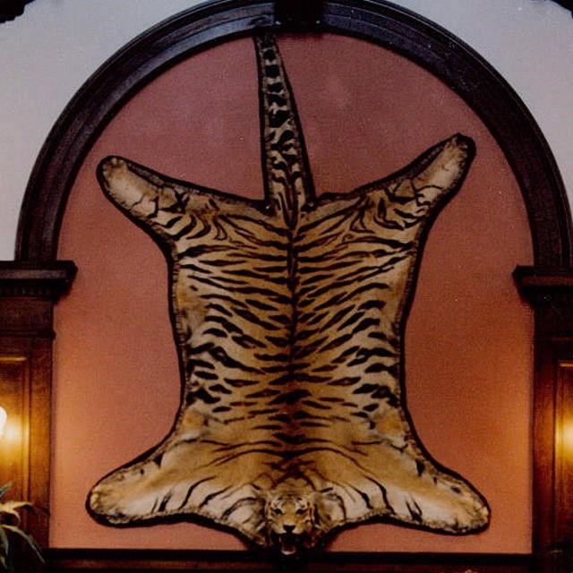 Police probe theft of tiger skin from historic Victoria watering hole | iNFOnews.ca