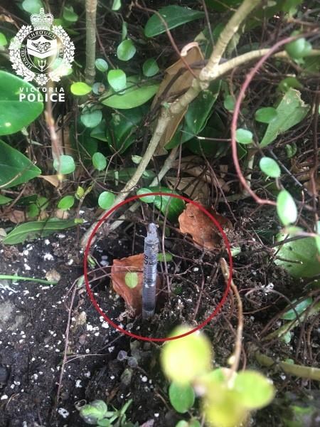 Island Health seeks solutions to discarded needles after three people pricked | iNFOnews.ca