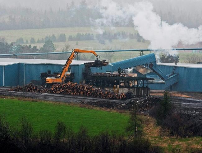 Independent review of Nova Scotia forestry given two-month extension | iNFOnews.ca Independent review of Nova Scotia forestry given two-month extension | iNFOnews.ca