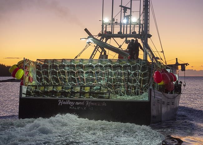 Nova Scotia sends 'test' lobster shipment to China after month with no market | iNFOnews.ca Nova Scotia sends 'test' lobster shipment to China after month with no market | iNFOnews.ca