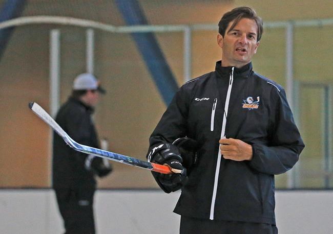 Eakins talks Edmonton struggles, AHL success as Gulls continue to impress | iNFOnews.ca