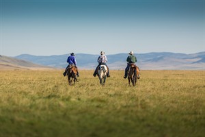 Alberta ranchers to conserve huge tract of native grassland | iNFOnews.ca CP30089315