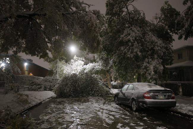 Power fully restored two weeks after major snowstorm hit Manitoba | iNFOnews.ca Power fully restored two weeks after major snowstorm hit Manitoba | iNFOnews.ca