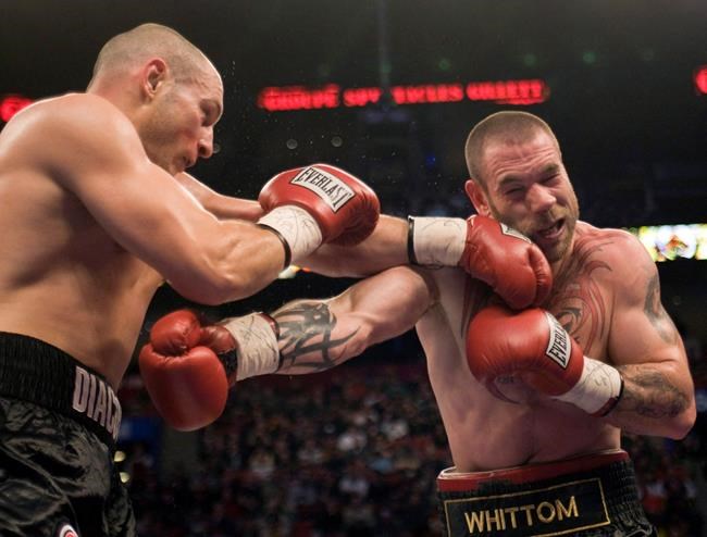 Journeyman cruiserweight boxer Whittom in coma after KO loss to Kopas | iNFOnews.ca