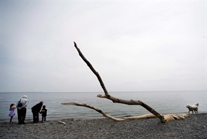 'The Village Effect' explores health benefits of face-to-face contact | iNFOnews.ca CP29824396