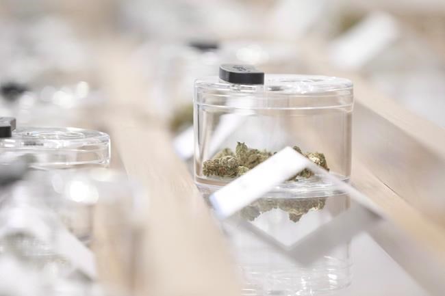 Only two cautions issued to Manitoba retailers since cannabis legalized | iNFOnews.ca