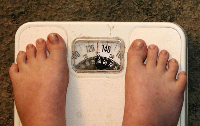 Hormone may hold clue to weight loss, N.B. professor says as he launches study | iNFOnews.ca Hormone may hold clue to weight loss, N.B. professor says as he launches study | iNFOnews.ca