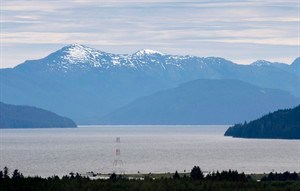 CP29133748