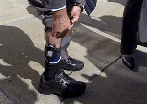 Study gives tentative nod to electronic tools for tracking immigrants | iNFOnews.ca CP29995213