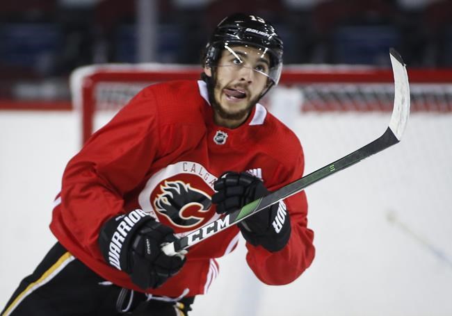 Maintain and playoff gain the aim of the Calgary Flames this season | iNFOnews.ca