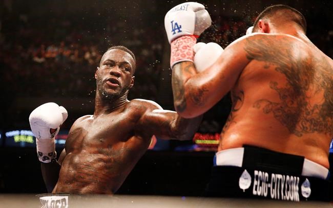 Boxing champion Wilder charged with marijuana possession | iNFOnews.ca Boxing champion Wilder charged with marijuana possession | iNFOnews.ca