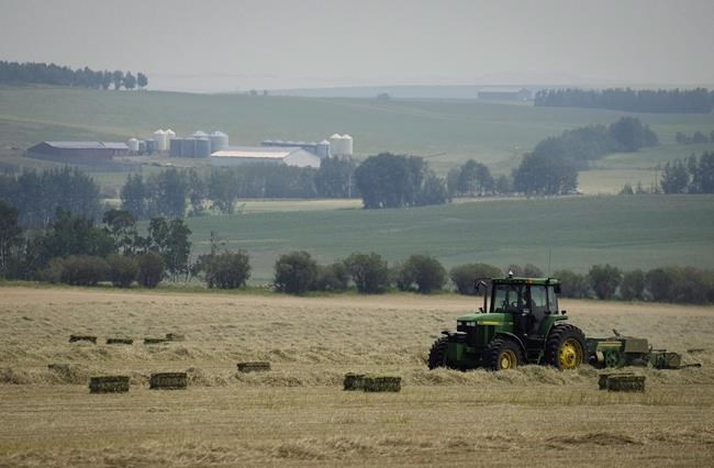 Farmers turn to specialized forecasting in face of rising extreme weather threat | iNFOnews.ca