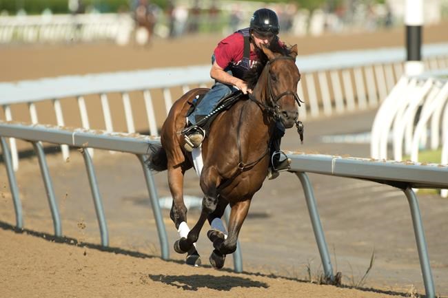 Early Queen's Plate favourite Avie's Flatter draws outside post position | iNFOnews.ca