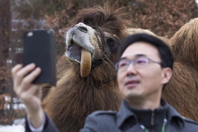 Toronto Zoo attendance up due to baby animal boom and good weather | iNFOnews.ca