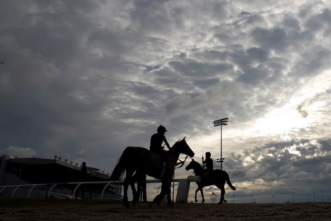 Filly Tepin installed as early 1-2 favourite for $1-million Ricoh Woodbine Mile | iNFOnews.ca Filly Tepin installed as early 1-2 favourite for $1-million Ricoh Woodbine Mile | iNFOnews.ca