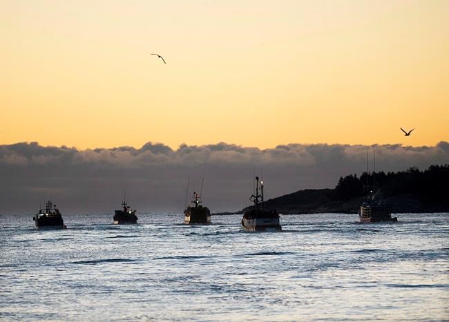 Study reveals fishing's startling global footprint: 'It totally blows me away' | iNFOnews.ca Study reveals fishing's startling global footprint: 'It totally blows me away' | iNFOnews.ca