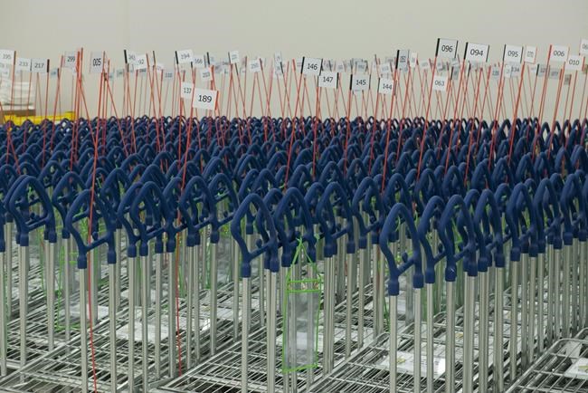 About 150 Ikea jobs in Canada to be impacted by response to customer changes | iNFOnews.ca