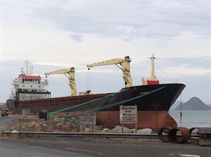 CP30950010