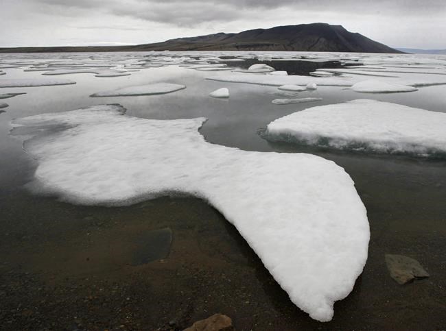 Canada to stay in forefront of High Arctic fish research, official says | iNFOnews.ca CP29180019