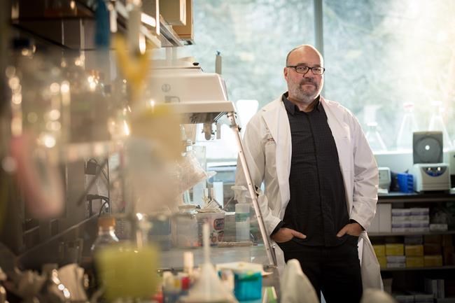 Antibiotic resistance growing global threat that needs to be countered: experts | iNFOnews.ca