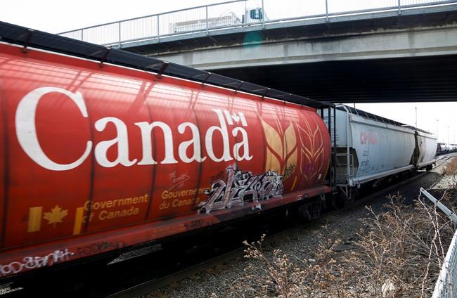 Grain industry facing 'dire situation' as backlog of grain shipments grow | iNFOnews.ca CP1141487500