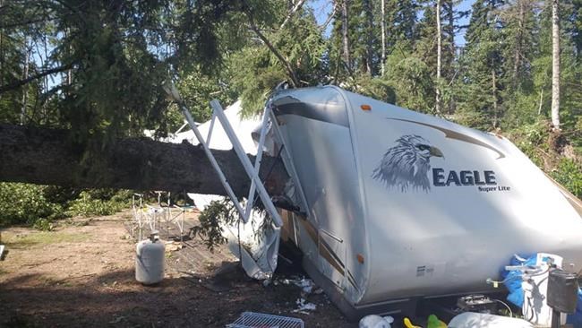 'Hundreds' of trees knocked down at Saskatchewan campground during storm | iNFOnews.ca
